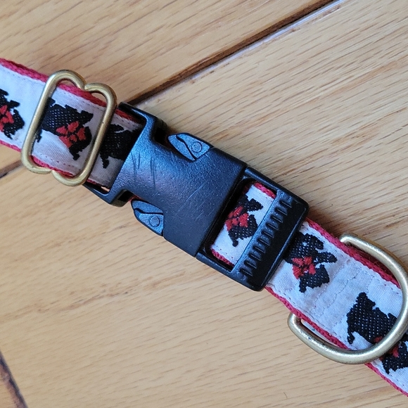 Dog collars, set of 4 - Picture 3 of 7